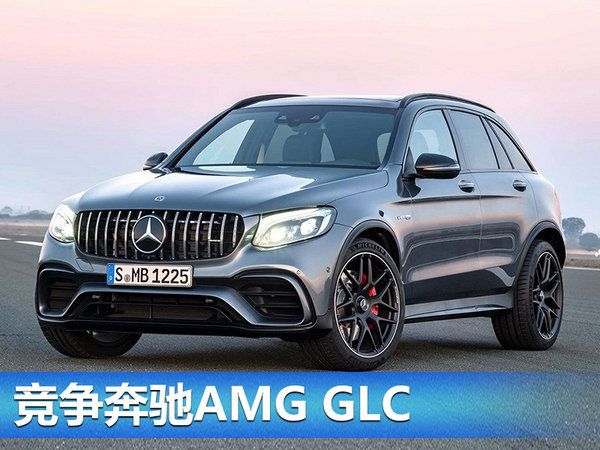 奧迪RS Q5將于九月亮相 搭2.9T發(fā)動(dòng)機(jī)/4秒破百-圖4