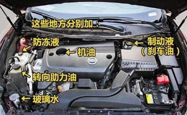 別被4S店坑了，老司機詳解各種油液更換周期