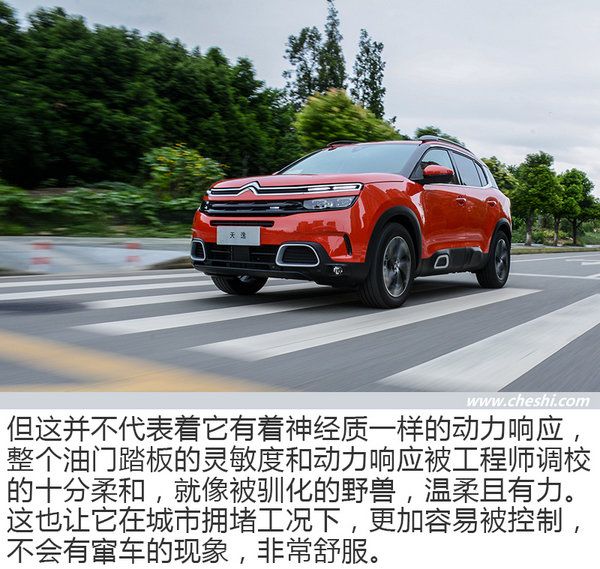 藝術與生活的融合 試雪鐵龍天逸C5 AIRCROSS-圖4