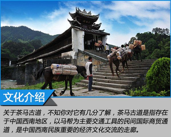 來自MG的征服之心 探尋茶馬古道文化之旅-圖4