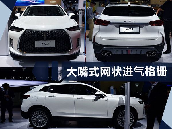 25款電動車即將上市 國產自主品牌占據7成-圖13