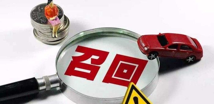 新能源車(chē)主的福利來(lái)了 快去找經(jīng)銷(xiāo)商退換貨吧