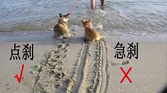 高速公路上開車最重要的這幾點你都知道嗎？