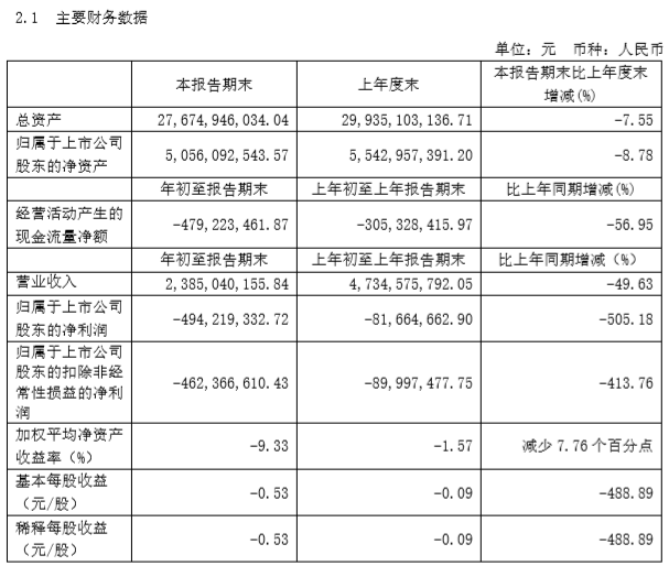 小康股份發布2020年一季報：虧損4.94億元