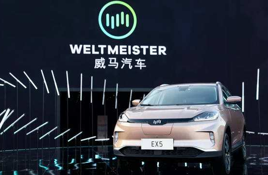 銷量，比亞迪，蔚來，新能源車銷量，比亞迪,6月汽車銷量,新能源汽車,威馬
