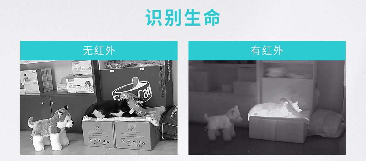 解密|全新一代星靈架構如何實現安全智駕